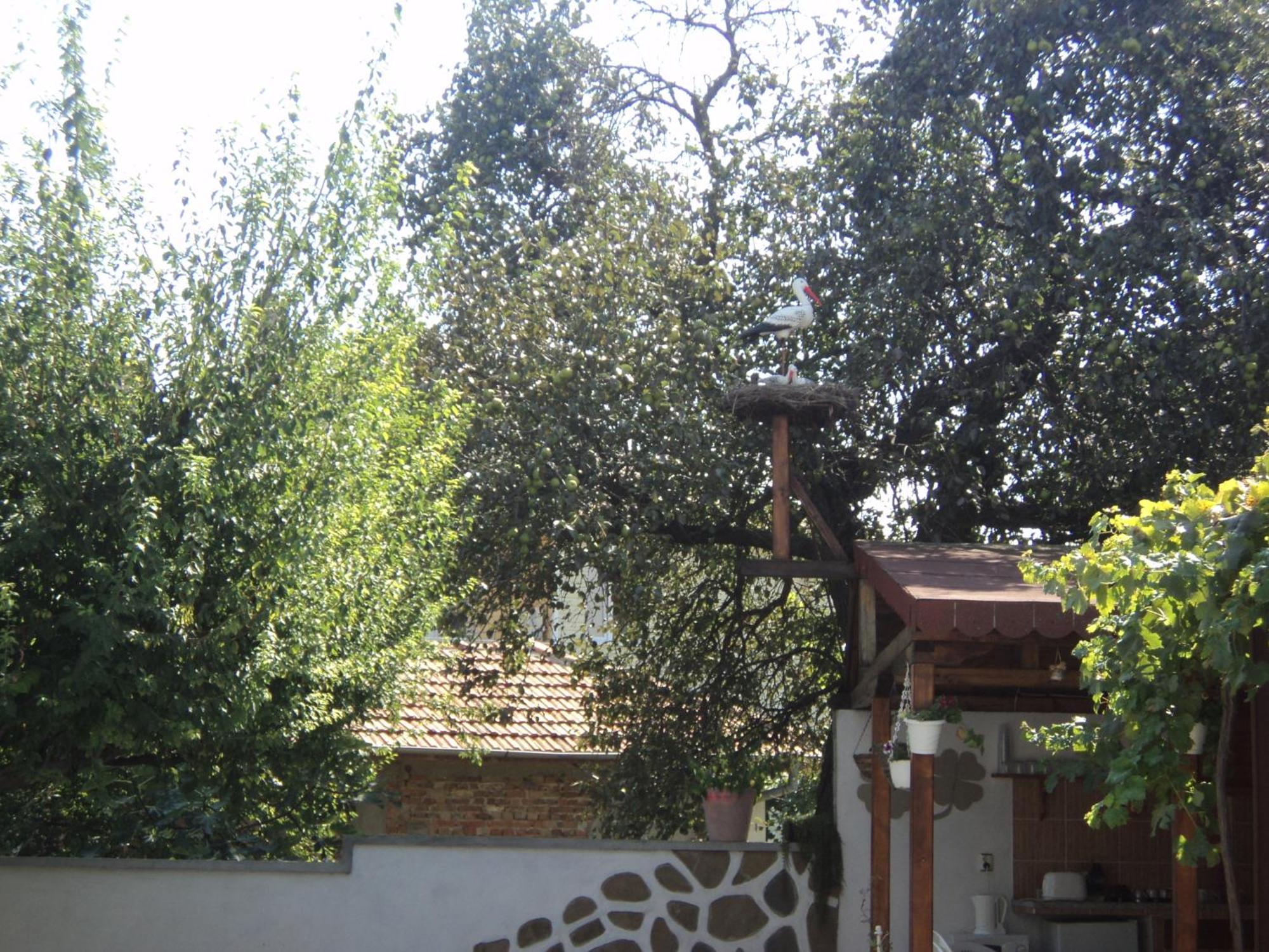 Guest House Drazhev Obzor Dış mekan fotoğraf